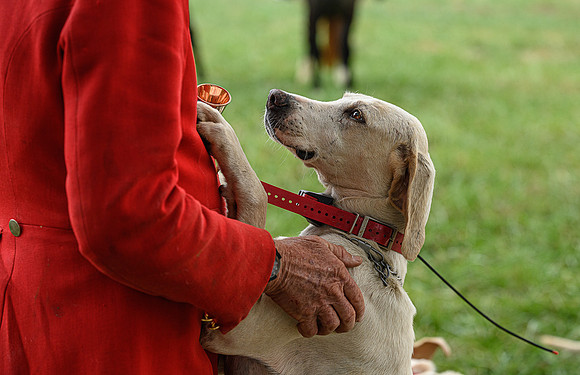 Belle Meade_11-6-2021_355919