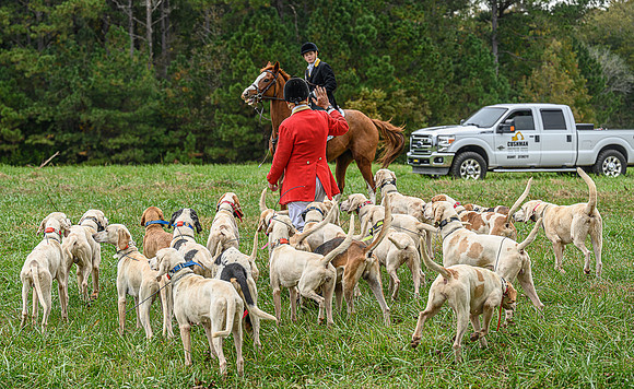 Belle Meade_11-6-2021_355920
