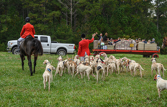 Belle Meade_11-6-2021_355922