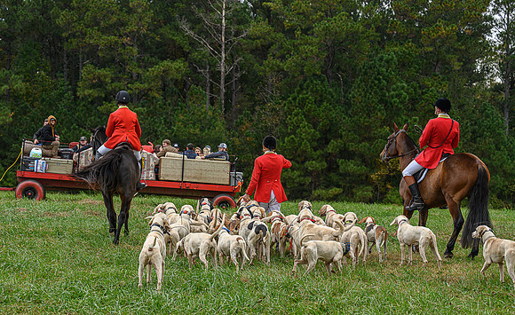 Belle Meade_11-6-2021_355924