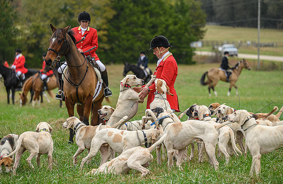 Belle Meade_11-6-2021_355955