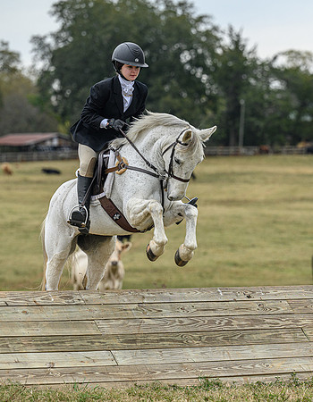 Belle Meade_11-6-2021_356054