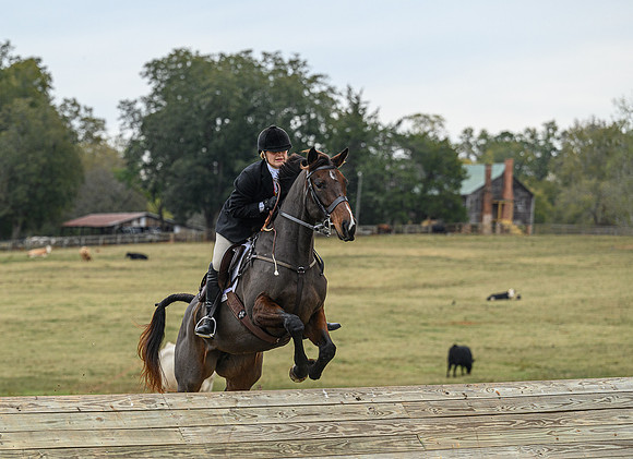 Belle Meade_11-6-2021_356067