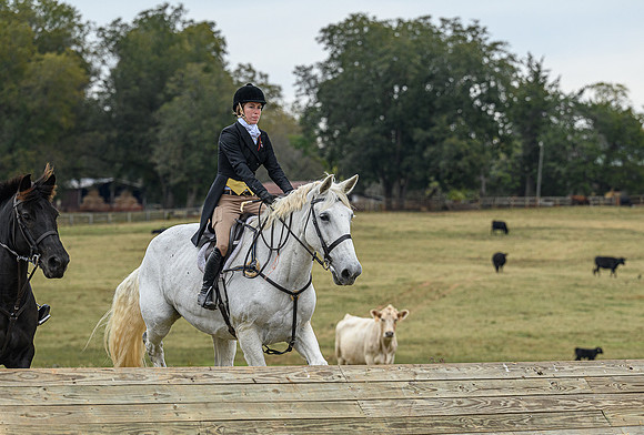 Belle Meade_11-6-2021_356113