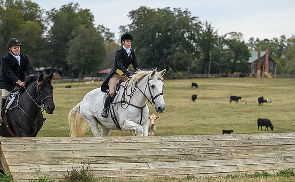 Belle Meade_11-6-2021_356114