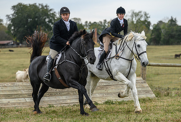 Belle Meade_11-6-2021_356121