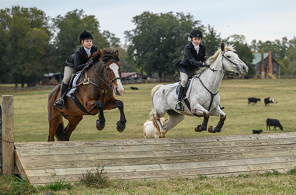 Belle Meade_11-6-2021_356126