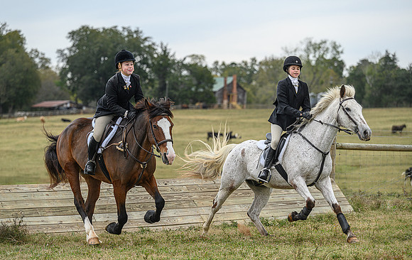 Belle Meade_11-6-2021_356129