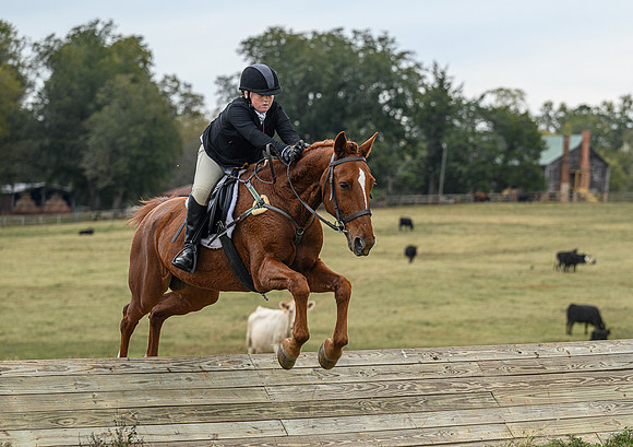 Belle Meade_11-6-2021_356133A