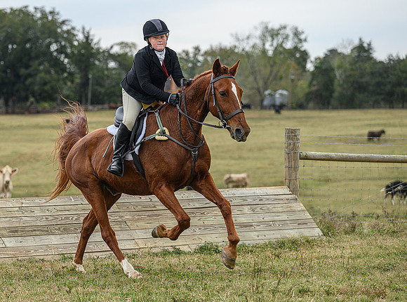 Belle Meade_11-6-2021_356136