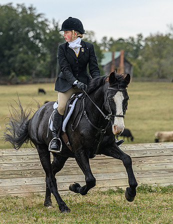 Belle Meade_11-6-2021_356142