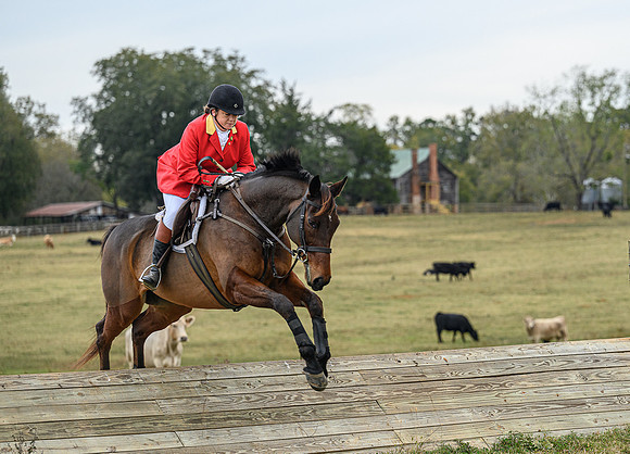 Belle Meade_11-6-2021_356143