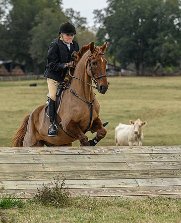 Belle Meade_11-6-2021_356147
