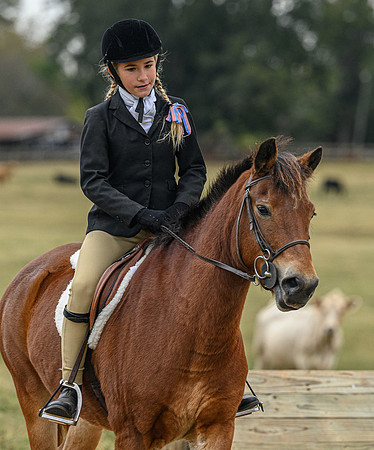 Belle Meade_11-6-2021_356206