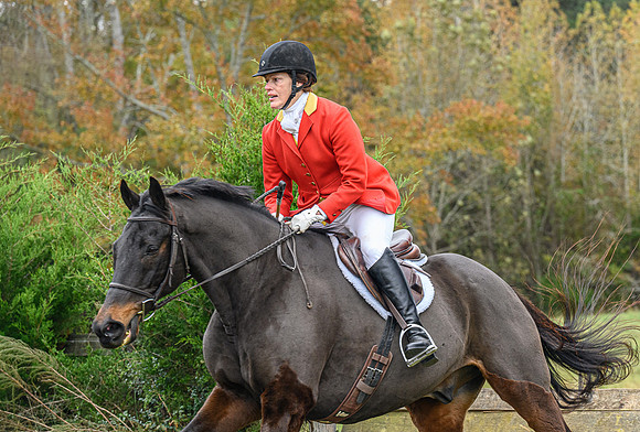 Belle Meade_11-6-2021_356331