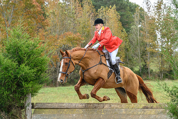 Belle Meade_11-6-2021_356334