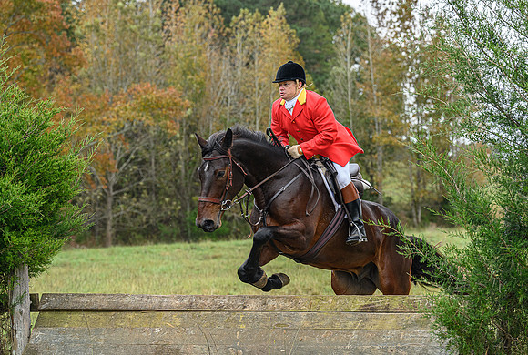 Belle Meade_11-6-2021_356340