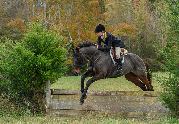 Belle Meade_11-6-2021_356344