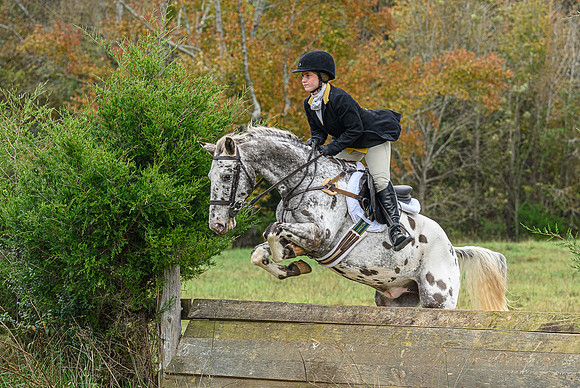 Belle Meade_11-6-2021_356353