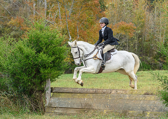 Belle Meade_11-6-2021_356357