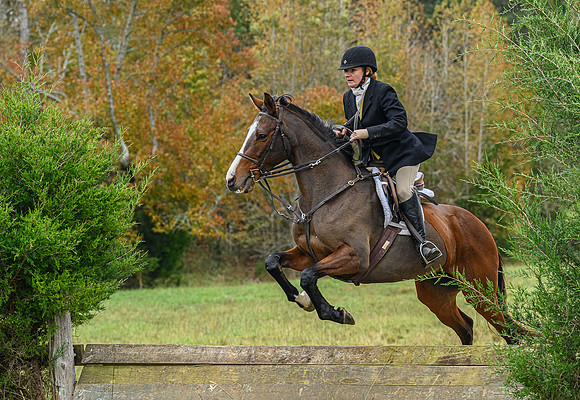 Belle Meade_11-6-2021_356360