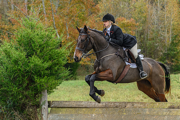 Belle Meade_11-6-2021_356364