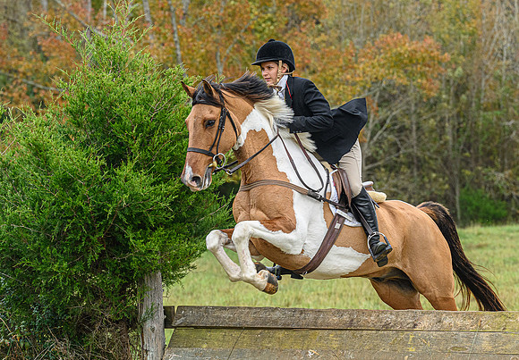 Belle Meade_11-6-2021_356379