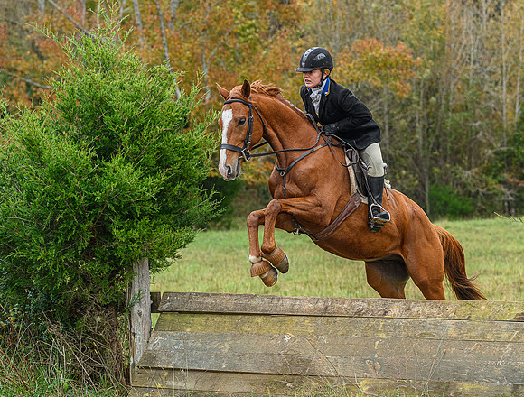 Belle Meade_11-6-2021_356391
