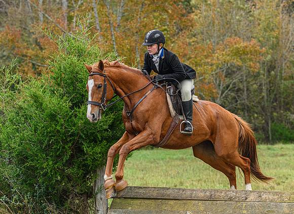 Belle Meade_11-6-2021_356392
