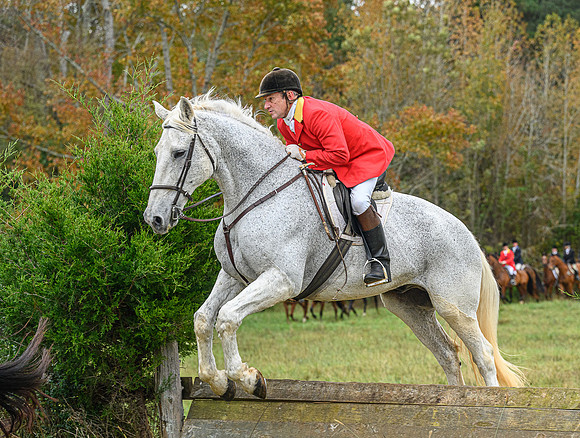 Belle Meade_11-6-2021_356412