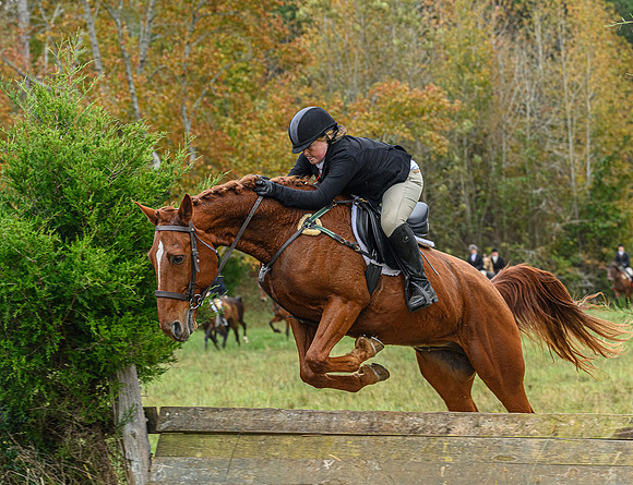 Belle Meade_11-6-2021_356422