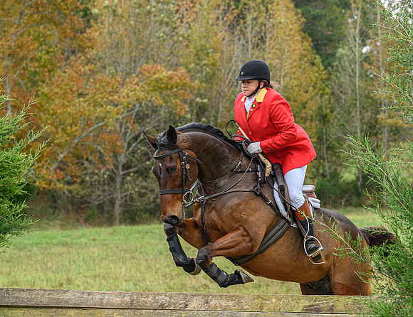 Belle Meade_11-6-2021_356434