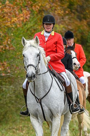 Belle Meade_11-6-2021_356465