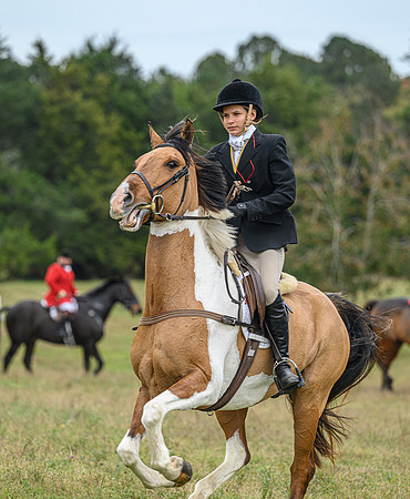 Belle Meade_11-6-2021_356591