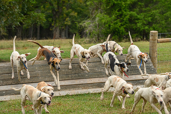 Belle Meade_11-6-2021_356723