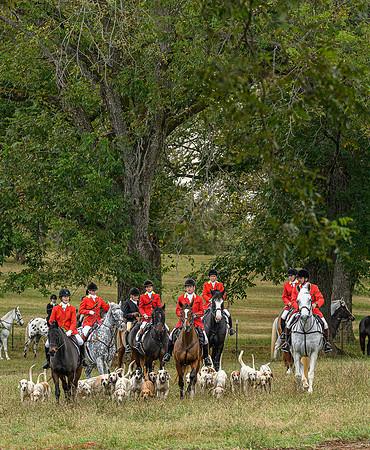 Belle Meade_11-6-2021_356707