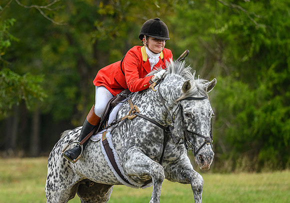 Belle Meade_11-6-2021_356734
