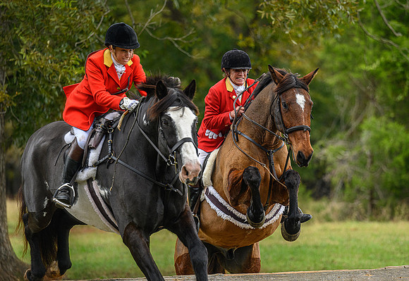 Belle Meade_11-6-2021_356744