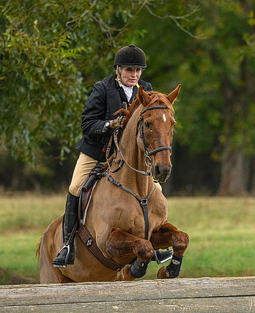 Belle Meade_11-6-2021_356748