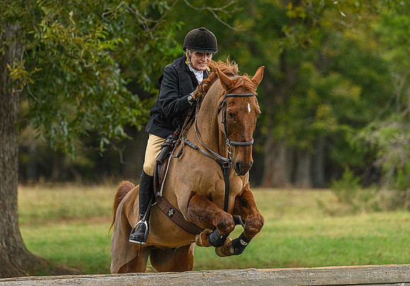 Belle Meade_11-6-2021_356749