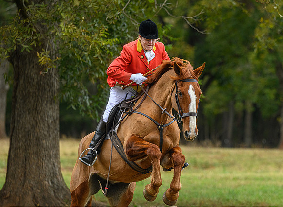 Belle Meade_11-6-2021_356754