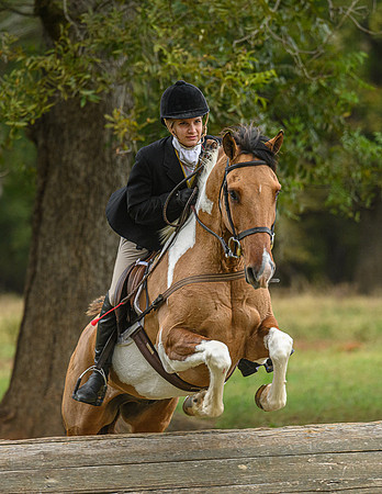Belle Meade_11-6-2021_356807