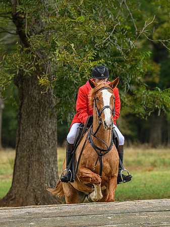 Belle Meade_11-6-2021_356897