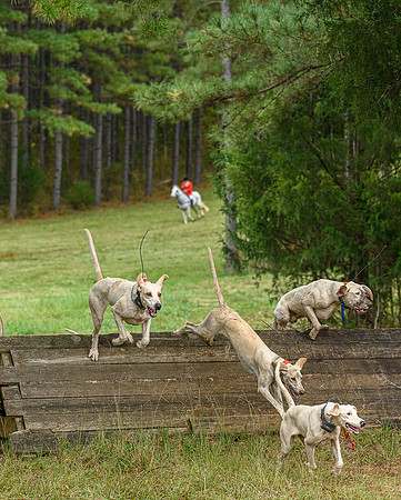 Belle Meade_11-6-2021_356933