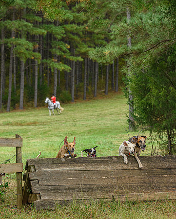Belle Meade_11-6-2021_356944