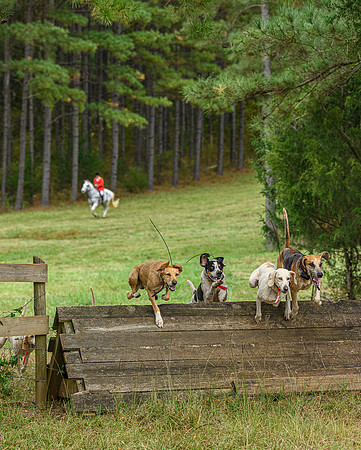 Belle Meade_11-6-2021_356945