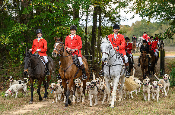 Belle Meade_11-6-2021_357133