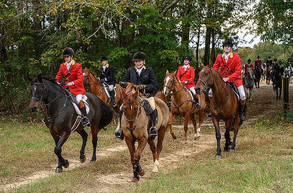 Belle Meade_11-6-2021_357141