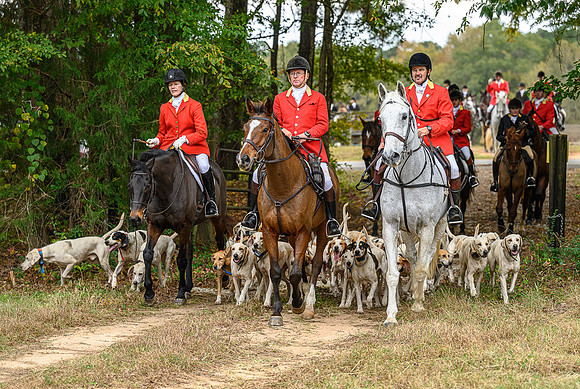 Belle Meade_11-6-2021_357131