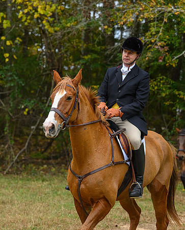 Belle Meade_11-6-2021_357248